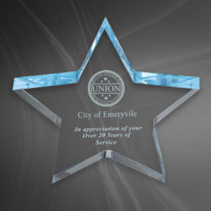 Paperweight Star Award