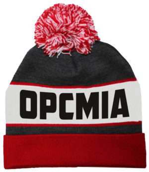 Beanie with Cuff & Pom
