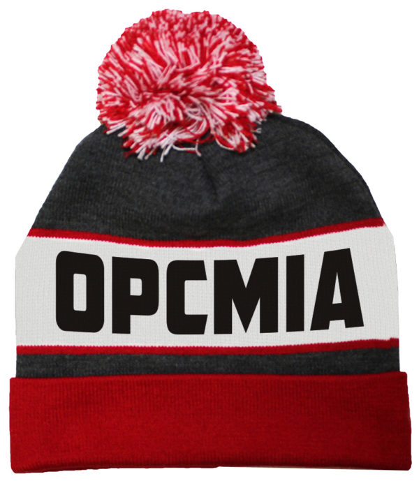 Beanie with Cuff & Pom
