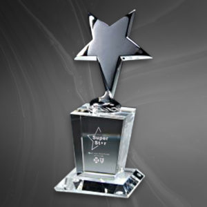 Metal Star Award on Crystal Base