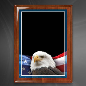 Plaque w/Eagle Plate