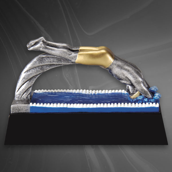 Motion X Male Swimmer Award