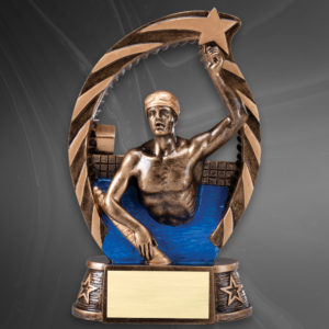 Star Swimming Award